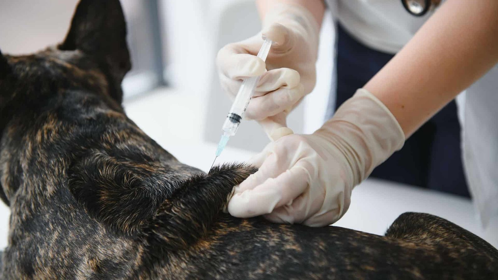 TECNOLOGIA NA SAÚDE